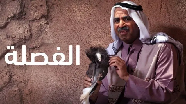 مسلسل الفصلة